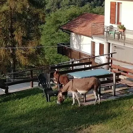 Runchee Gospodarstwo agroturystyczne