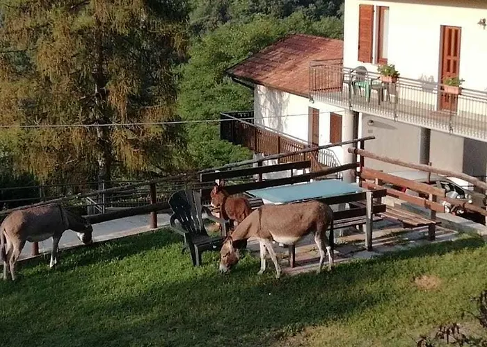 Runchee Κατάλυμα σε φάρμα