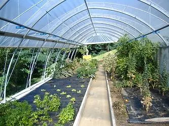 בית חווה Runchee *